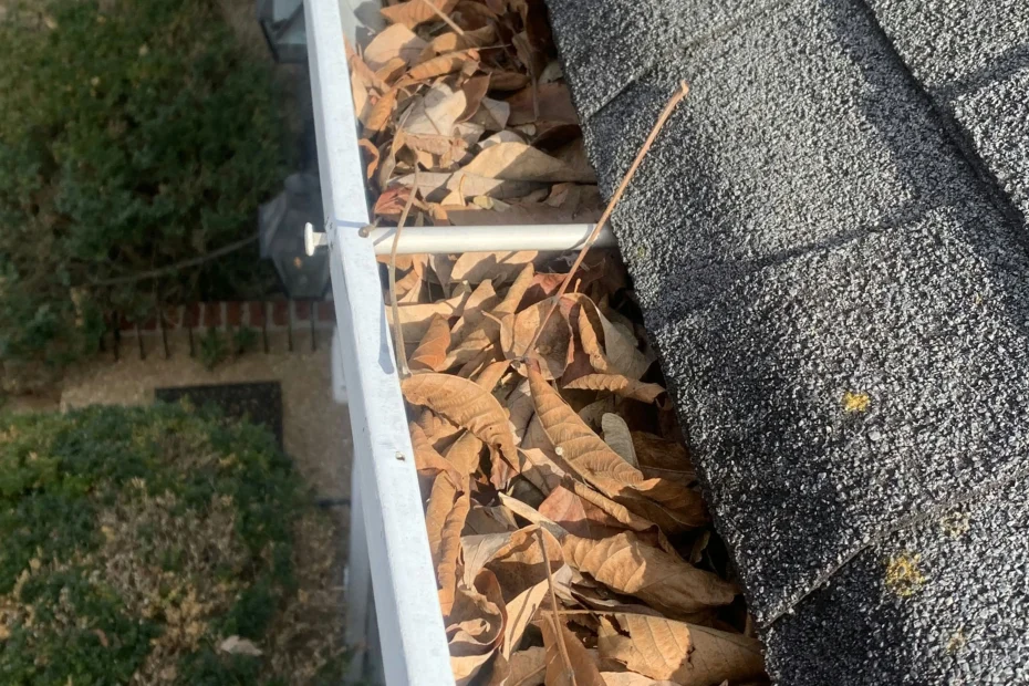 Gutter Cleaning Norton